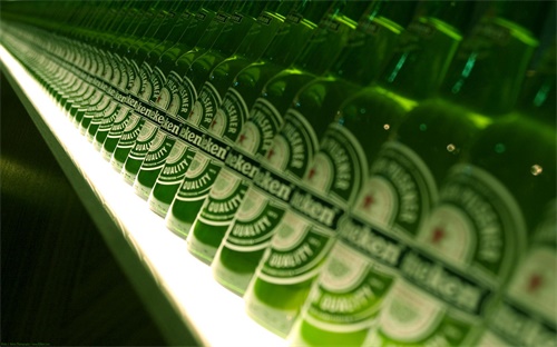室内垂直绿化花墙配什么植物，垂直绿化该如何选择植物