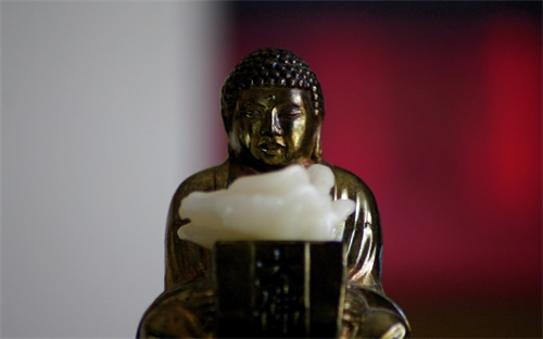 水培吊兰要注意什么，水培吊兰养得旺盛需要注意什么