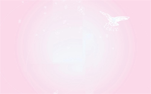 蔷薇怎么插，蔷薇怎么扦插
